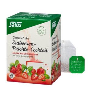 ERDBEEREN Früchtecocktail Salus Filterbeutel